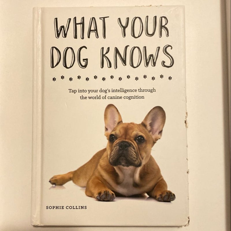 What Your Dog Knows