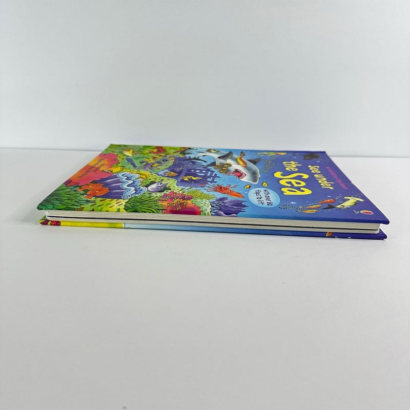 Usborne Flap Book-See Under the Sea