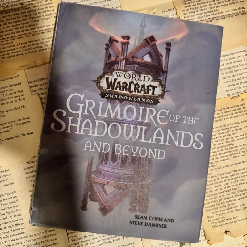 World of Warcraft: Grimoire of the Shadowlands and Beyond