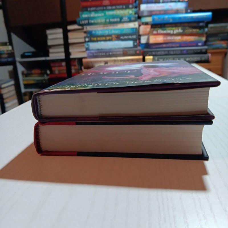 Dark Tide and Rogue Wave book bundle 