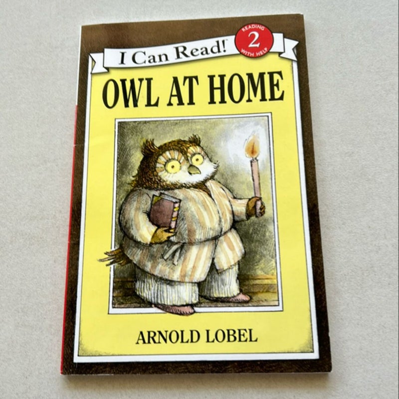 Owl at Home