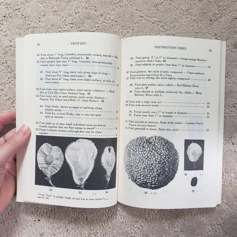 Fruit Key and Twig Key to Trees and Shrubs