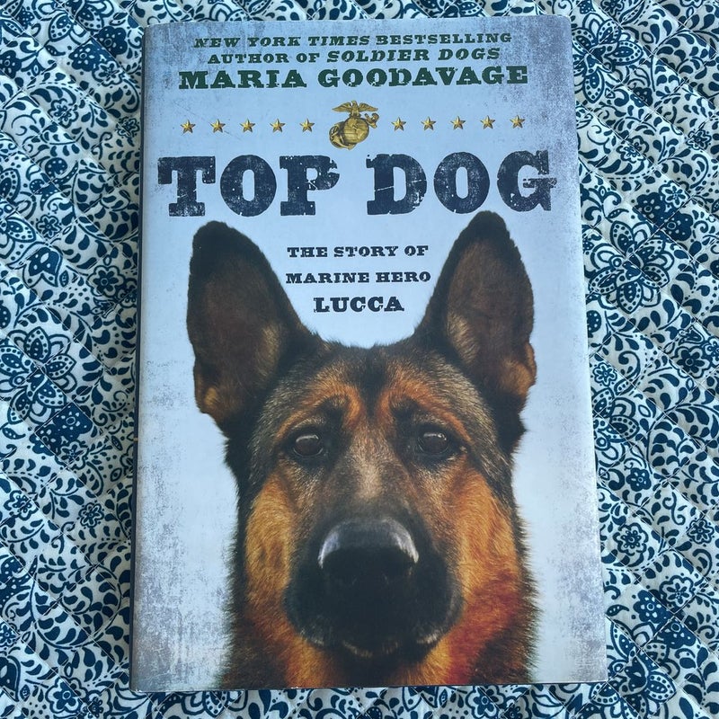 Top Dog