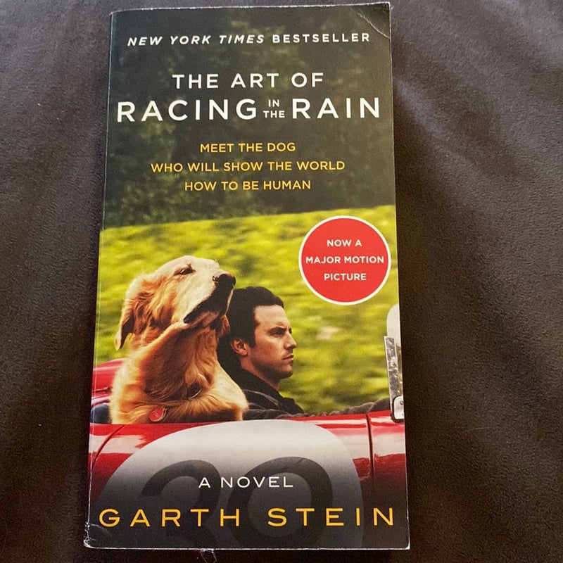 The Art of Racing in the Rain Movie Tie-In Edition