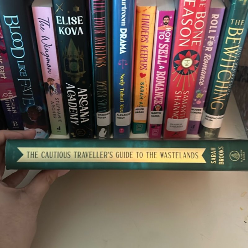 The Cautious Traveller's Guide to the Wastelands