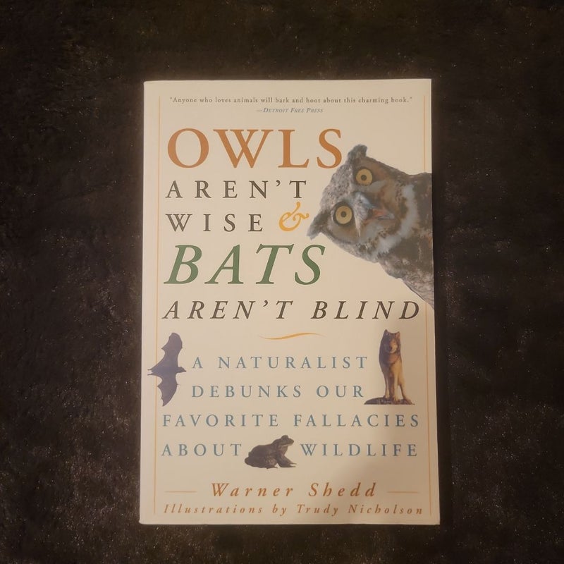 Owls Aren't Wise and Bats Aren't Blind