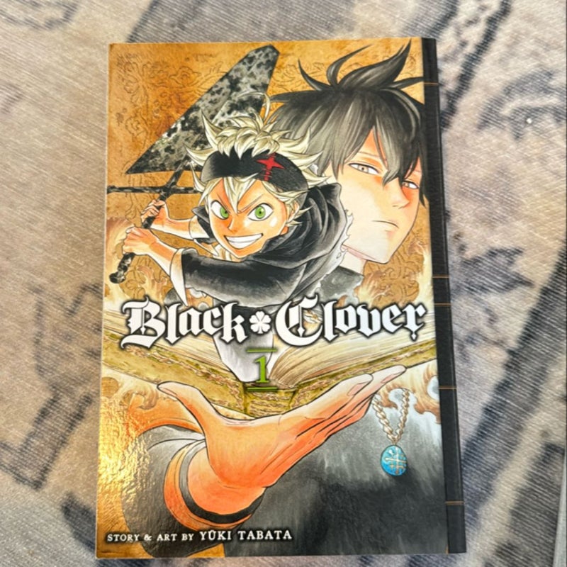 Black Clover, Vol. 1