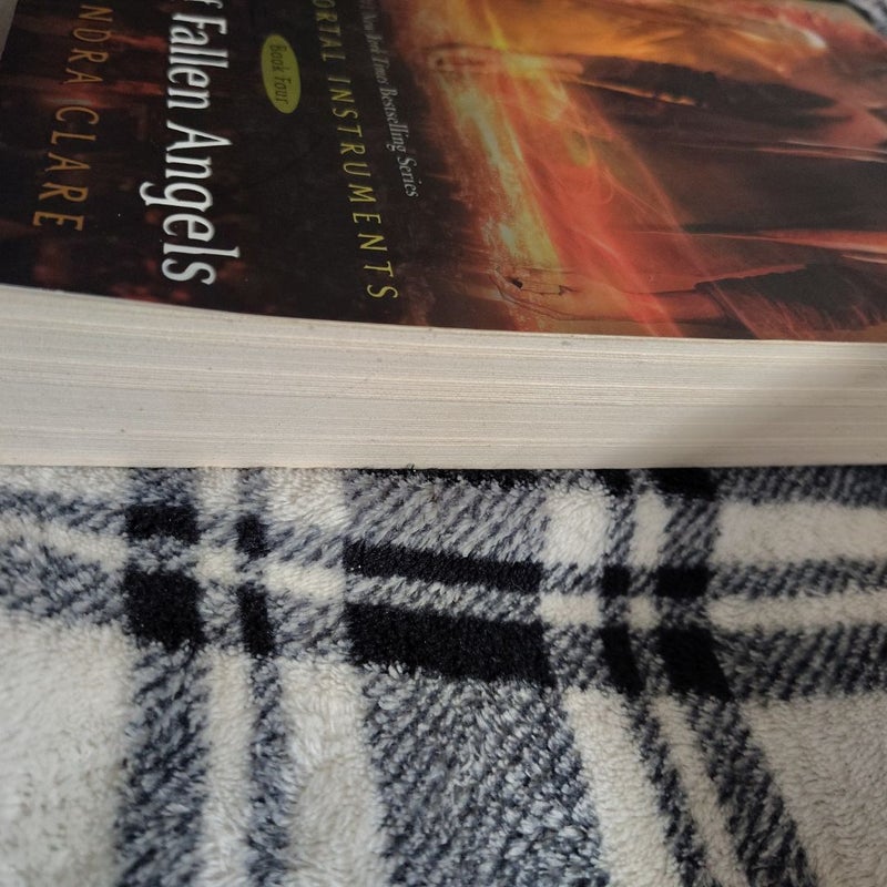 City of Fallen Angels