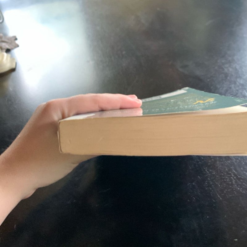 The Bromance Book Club