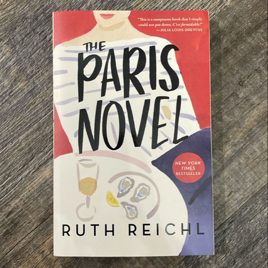 The Paris Novel