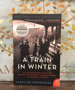 A Train in Winter