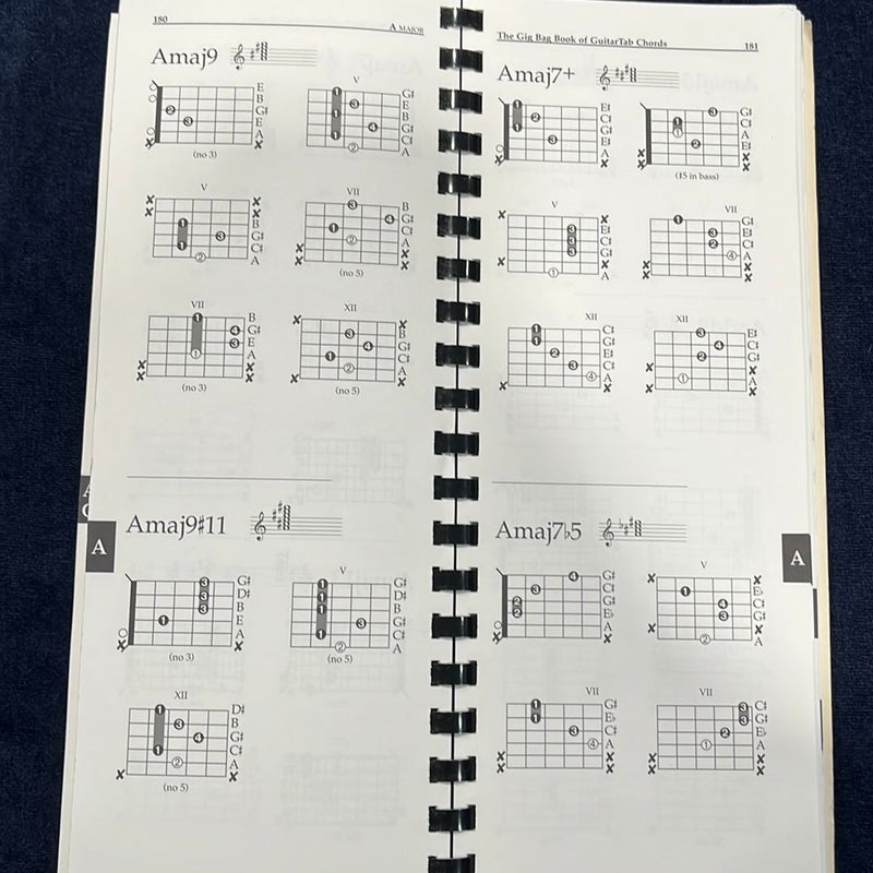 The Gig Bag Book of Guitar Tab Chords
