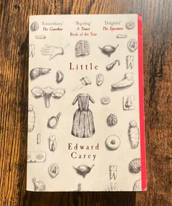 Little: a Times and Sunday Times Book of the Year