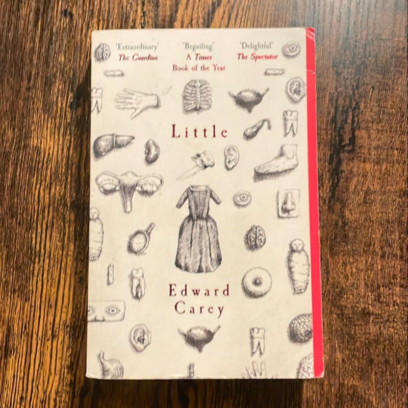 Little: a Times and Sunday Times Book of the Year