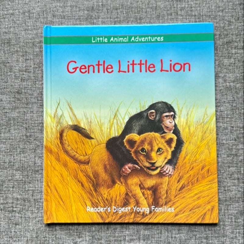 Gentle Little Lion
