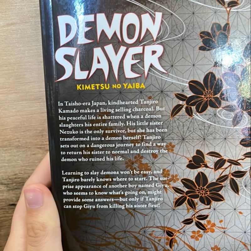 Demon Slayer: Kimetsu No Yaiba, Vol. 1