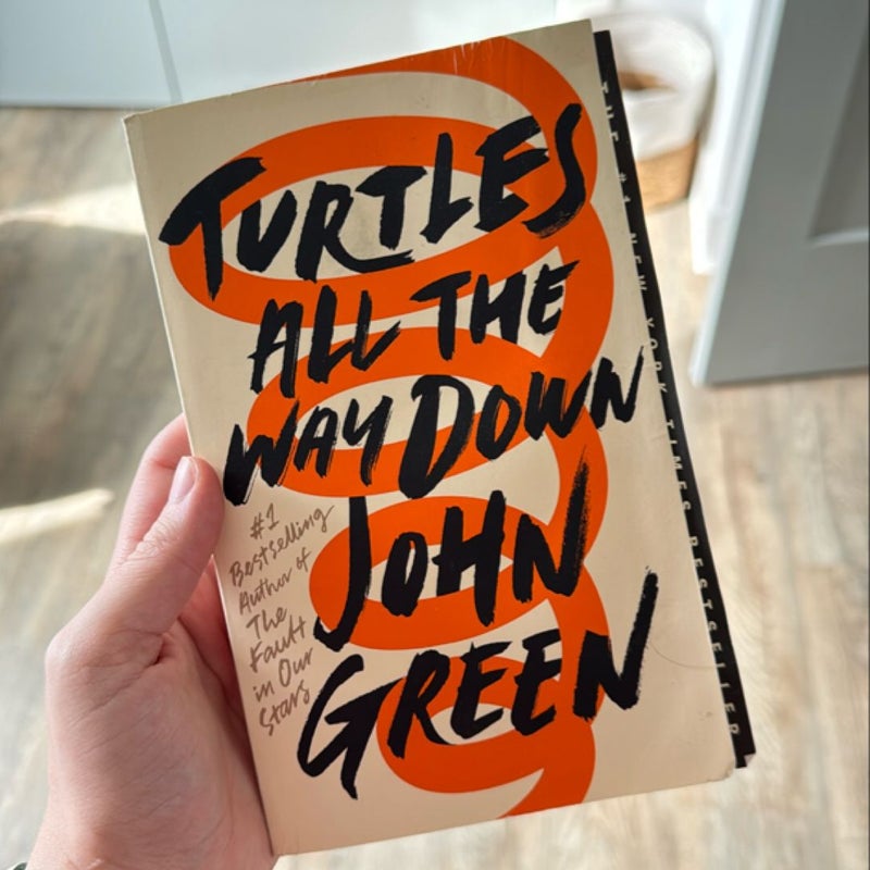 Turtles All the Way Down