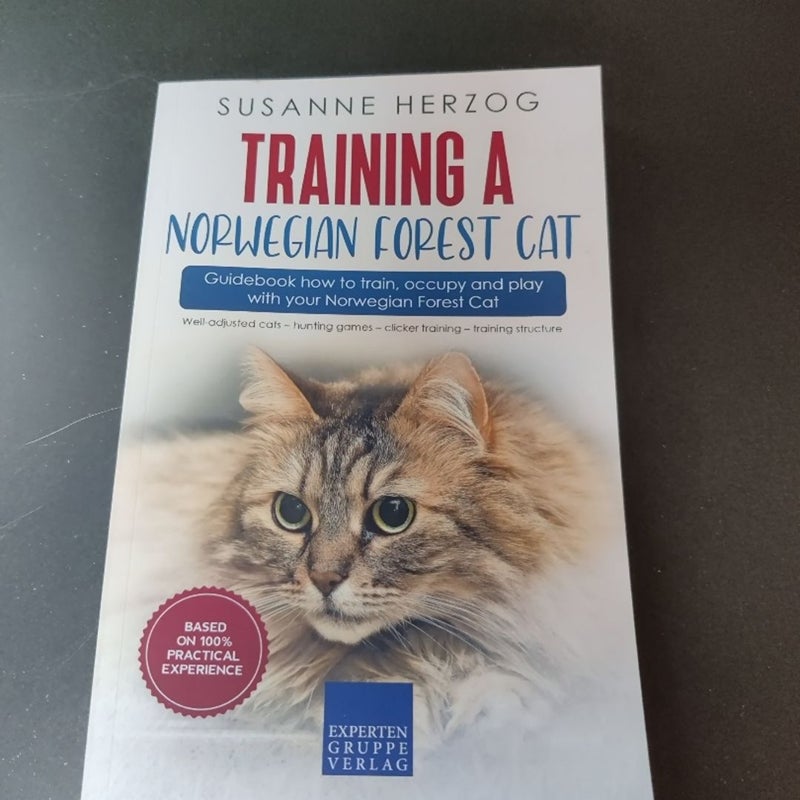 Training a Norwegian Forest Cat