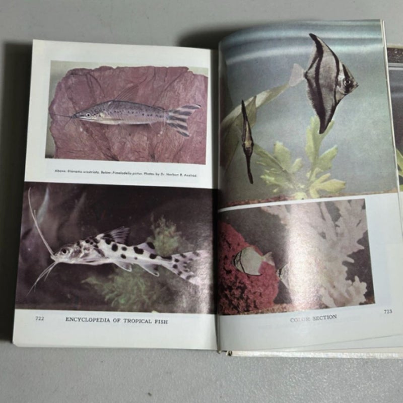 Encyclopedia of Tropical Fishes