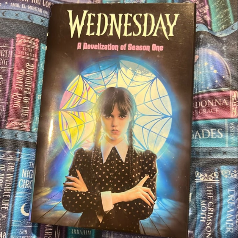 Wednesday: a Novelization of Season One