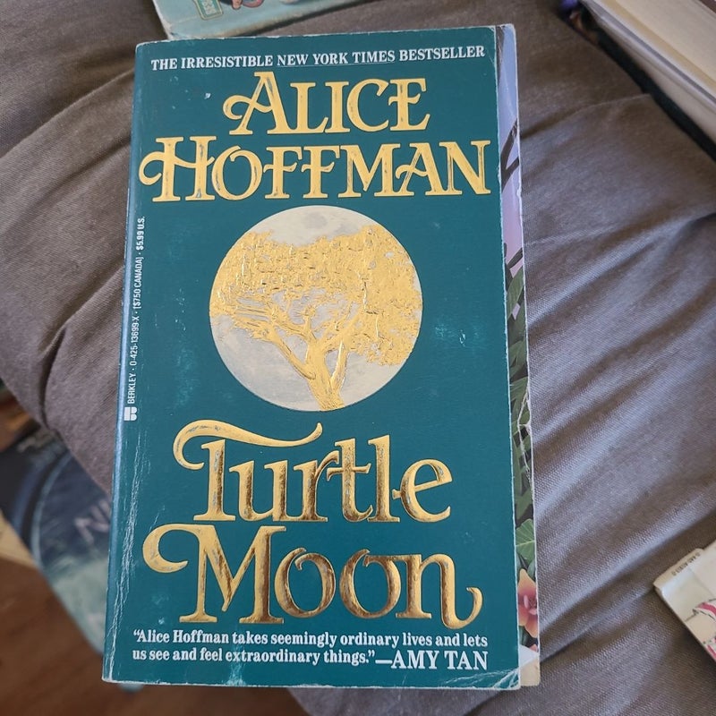 Turtle Moon