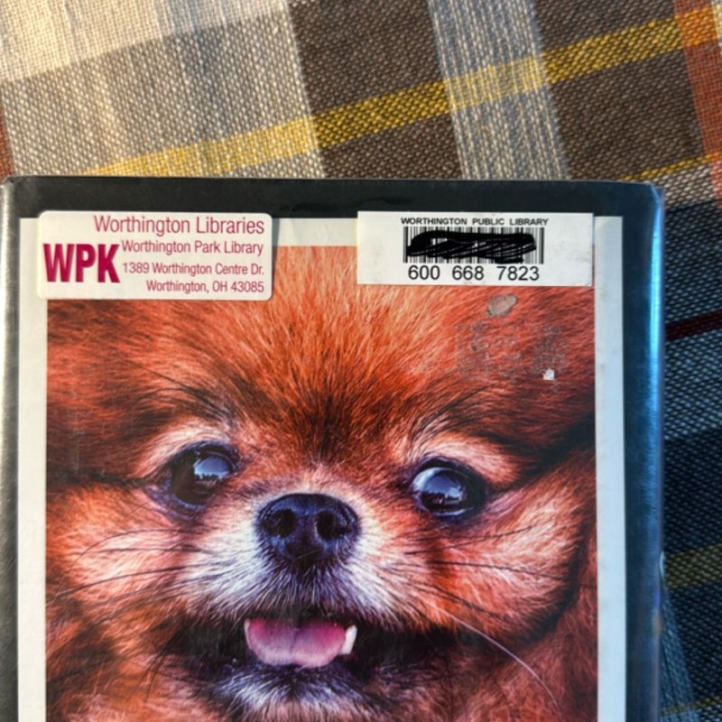 Take Me Home Tonight