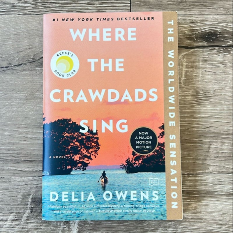 Where the Crawdads Sing