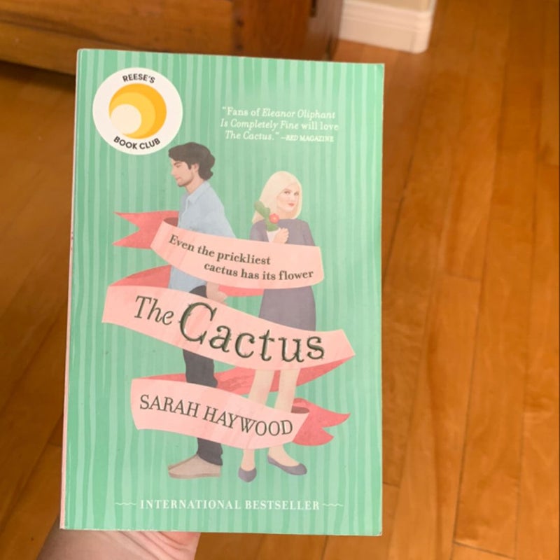 The Cactus