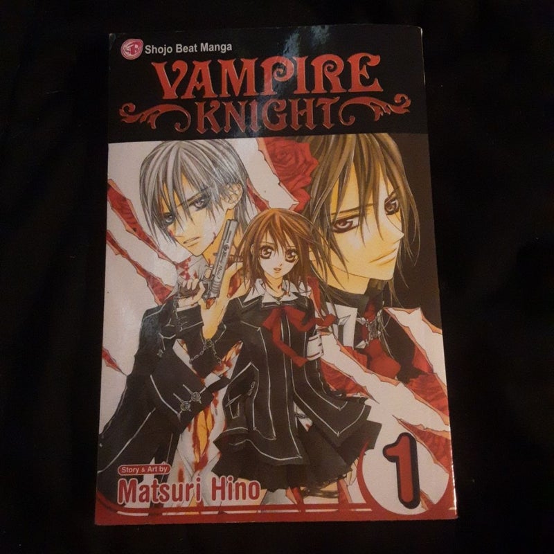 Vampire Knight, Vol. 1