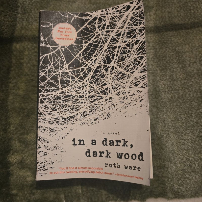 In a Dark, Dark Wood