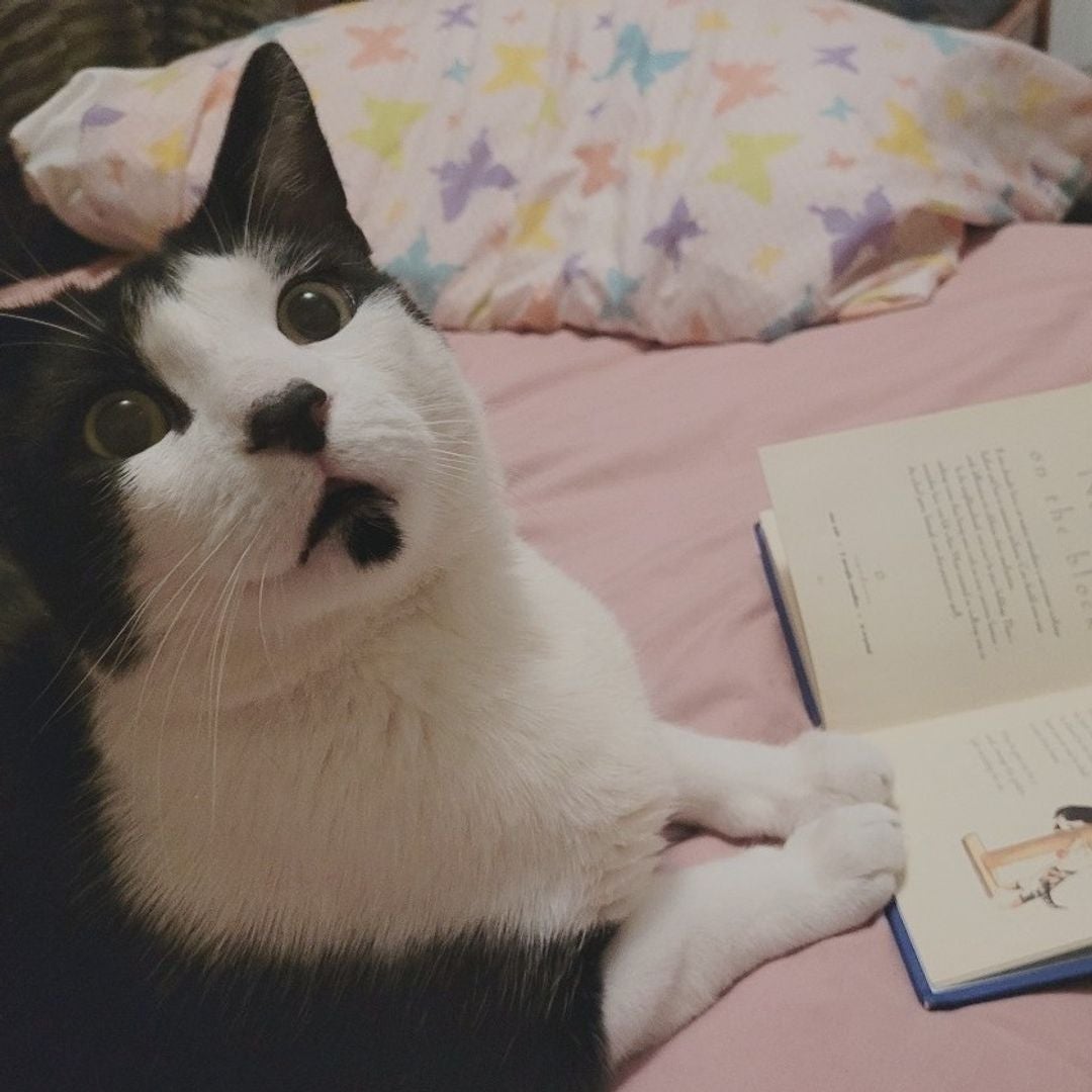 Jazmira's Books