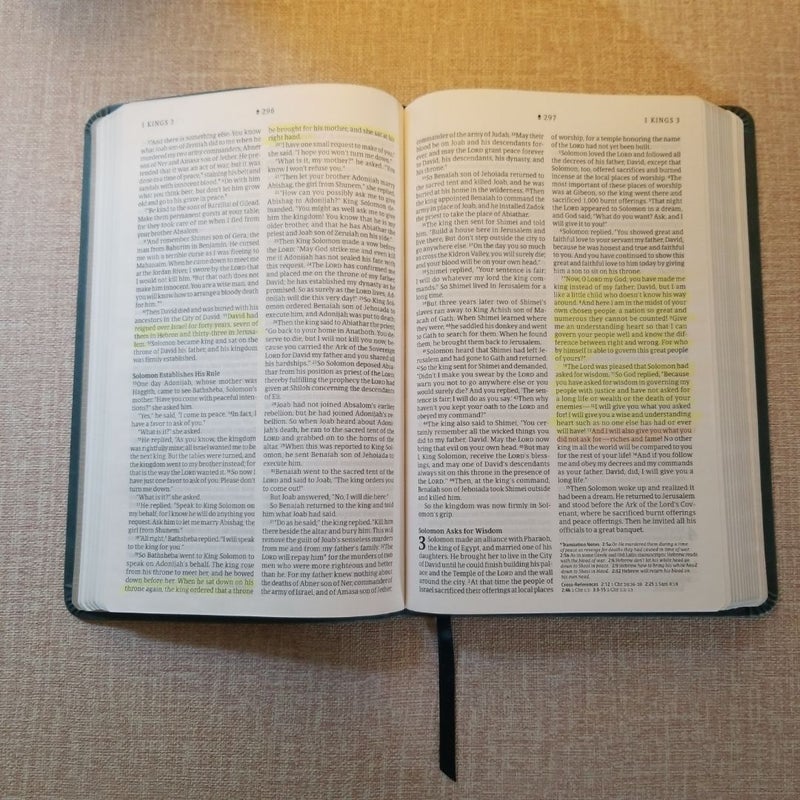 NLT Bible (Red letter, teal, leatherlike)