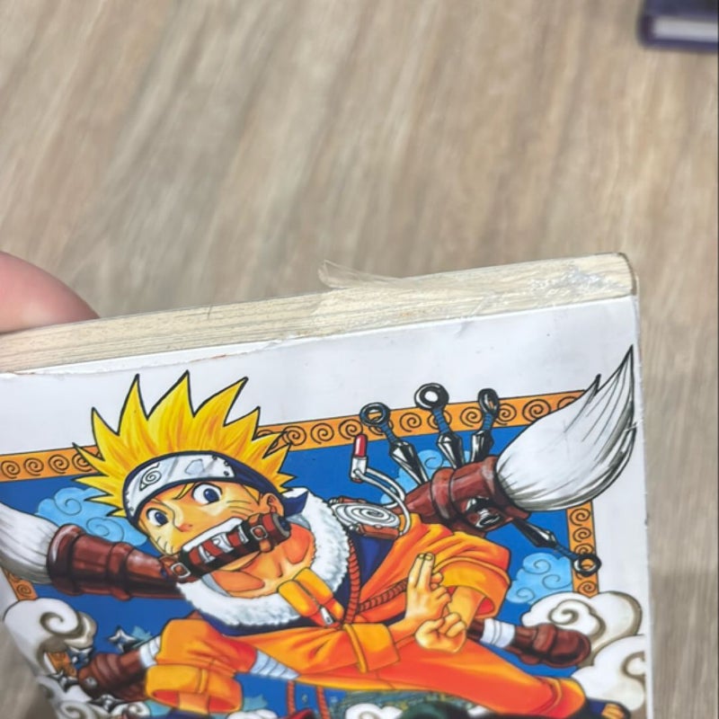 Naruto, Vol. 1