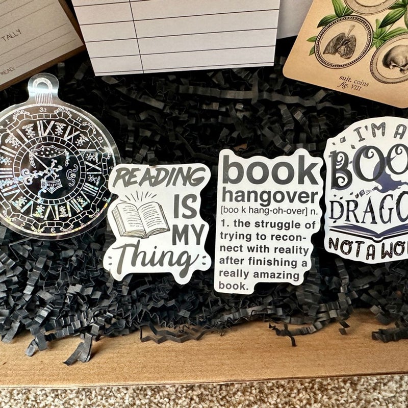 Dragon Themed Blind Date with a Book Box