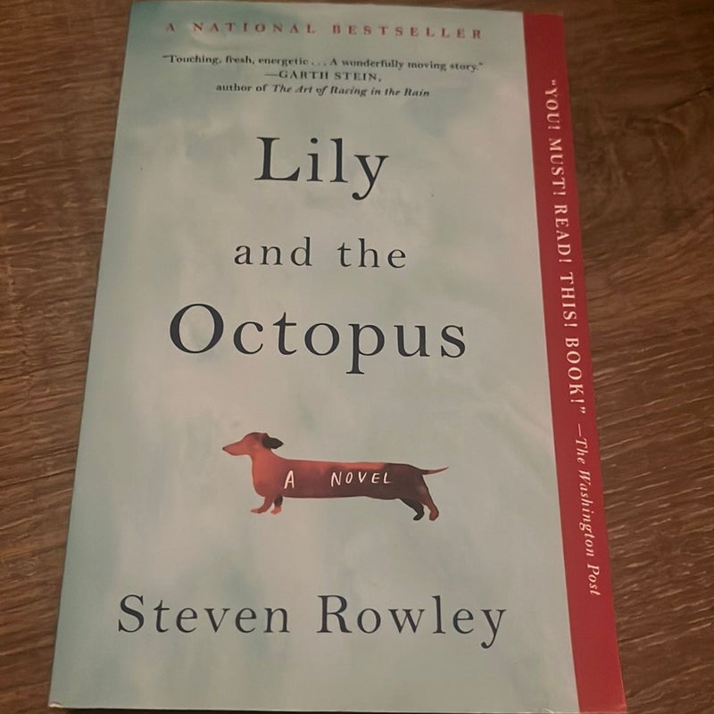 Lily and the Octopus