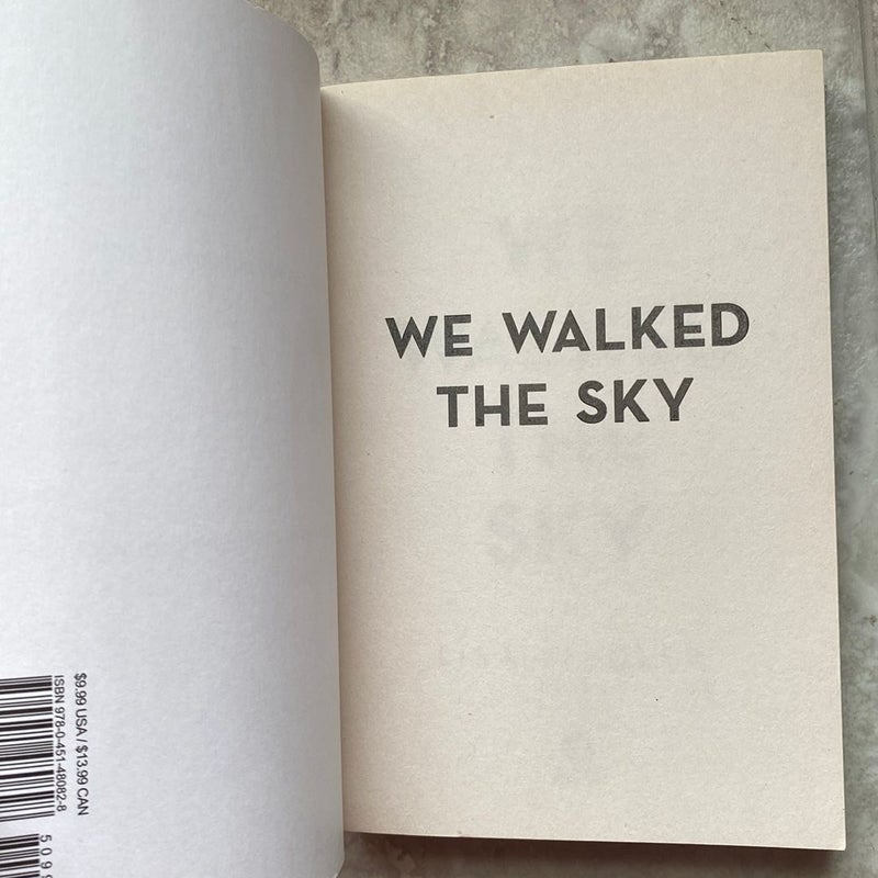 We Walked the Sky