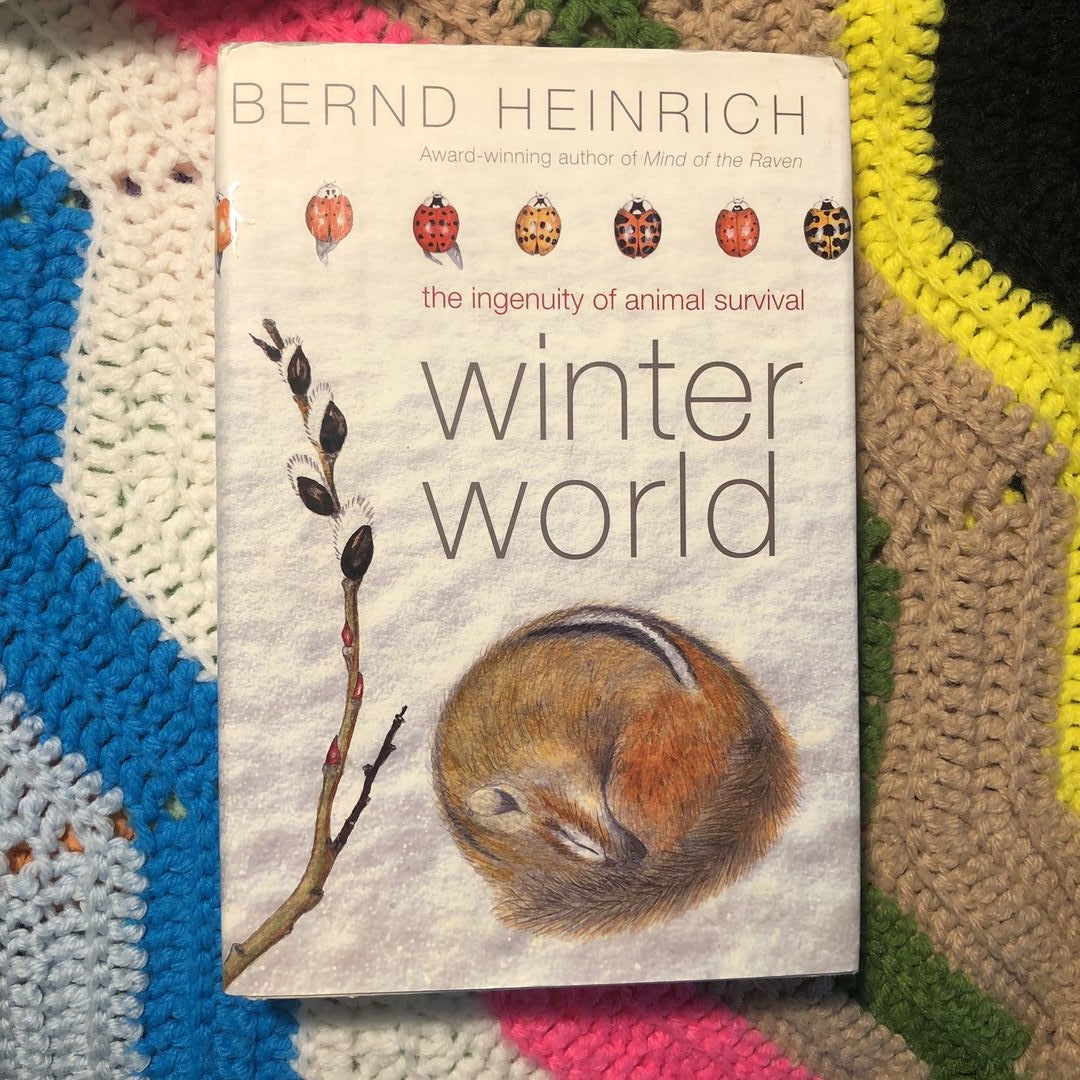 Winter World