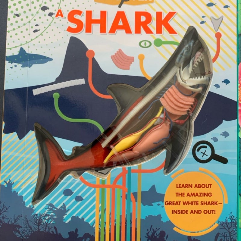 Uncover a shark Explore a Frog Elementary science anatomy 