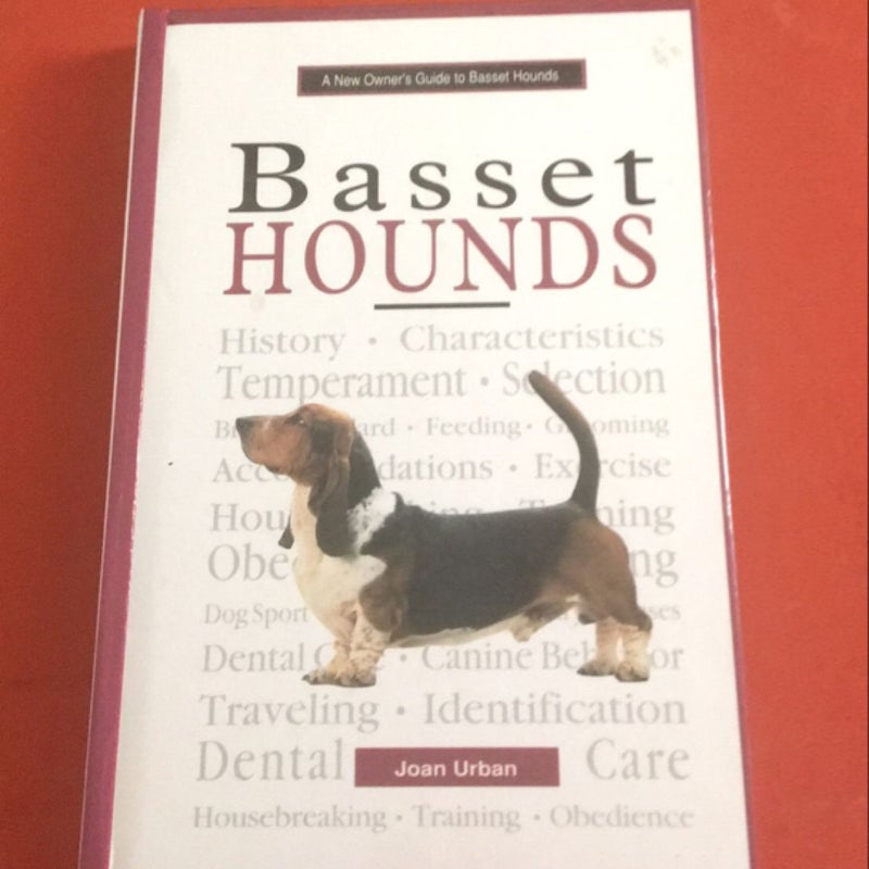 A New Owner's Guide to Basset Hounds