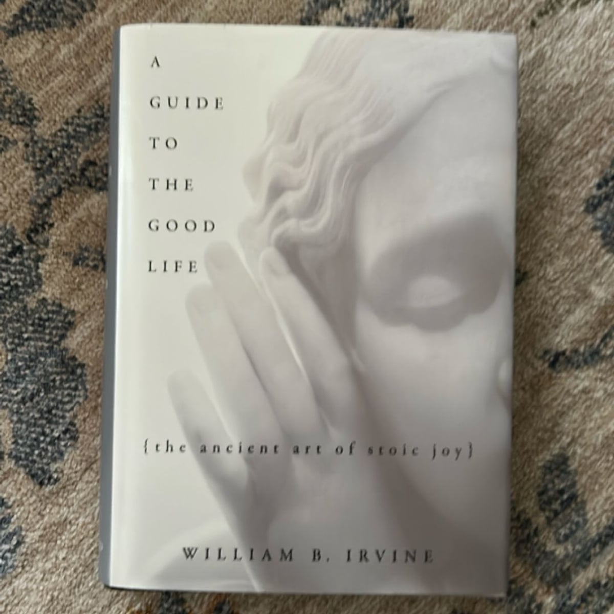 A Guide to the Good Life by William B. Irvine