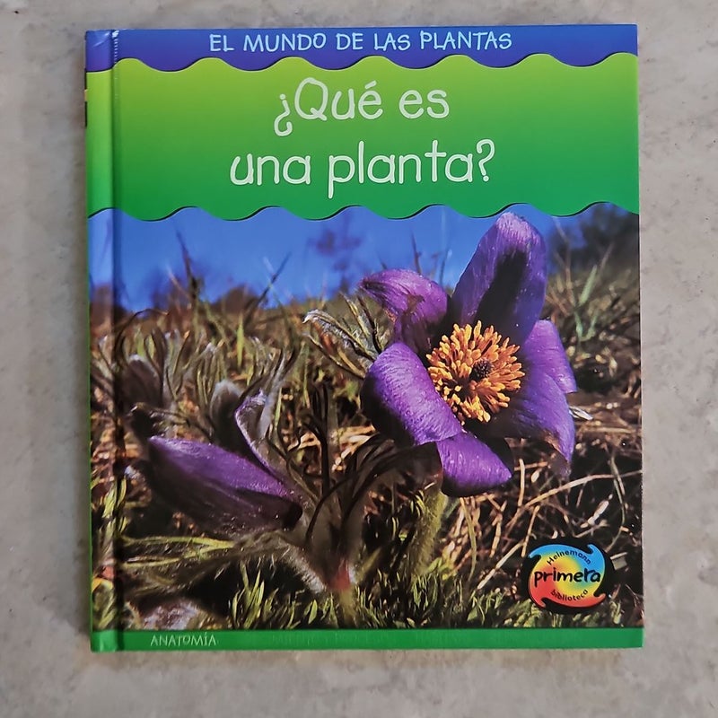 ¿Qué es una Planta?