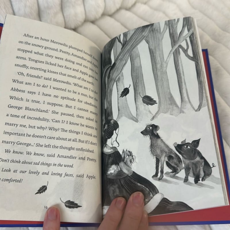 The Wood at Midwinter