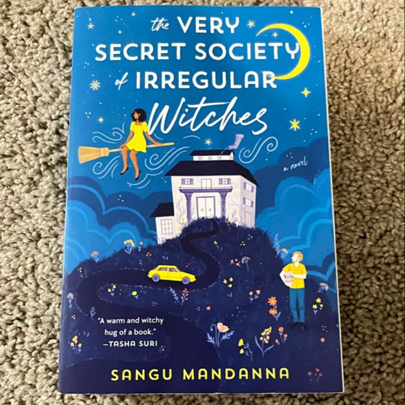 The Very Secret Society of Irregular Witches