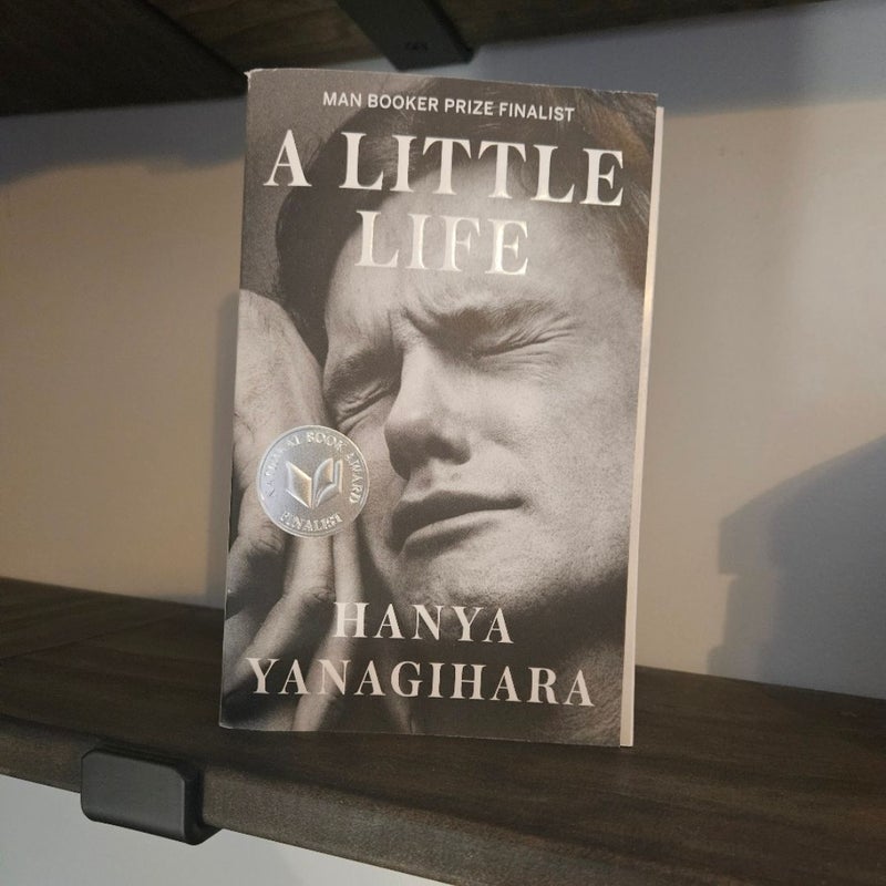 A Little Life