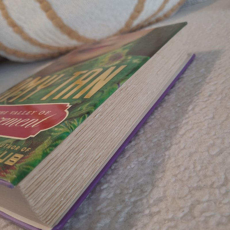 The Valley of Amazement