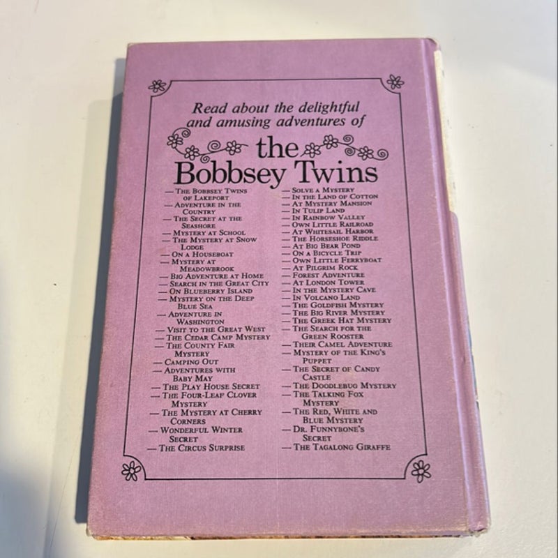 The Bobbsey Twins and the Tagalong Giraffe 