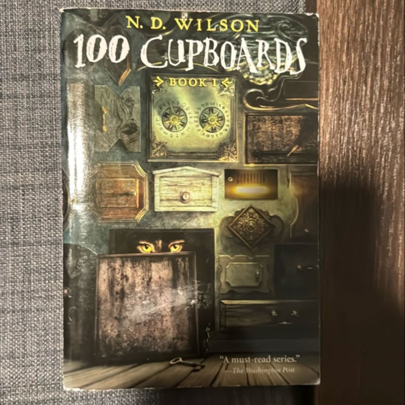 100 Cupboards (100 Cupboards Book 1)