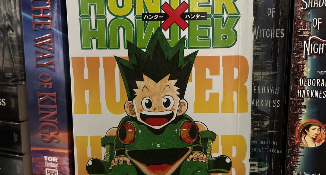 VIZ  Blog / MANGA: HUNTER X HUNTER Vol.28 Review