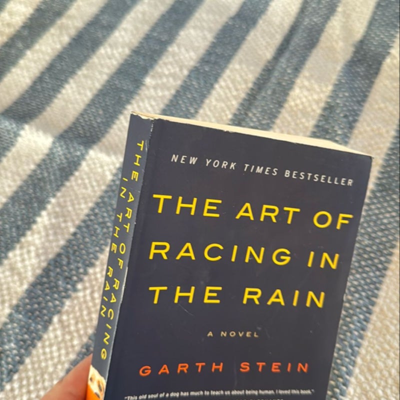 The Art of Racing in the Rain