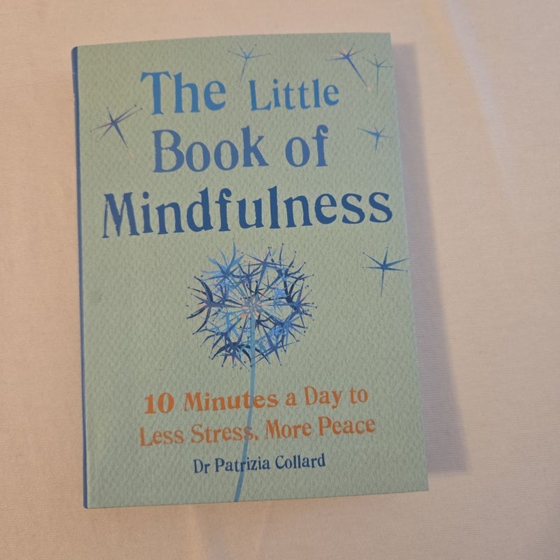 Little Book of Mindfulness